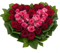 Два серця